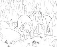 Desenhos de Wolf Para Colorir 126