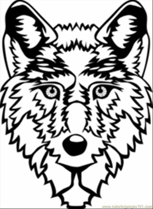 Desenhos de Wolf Para Colorir 52