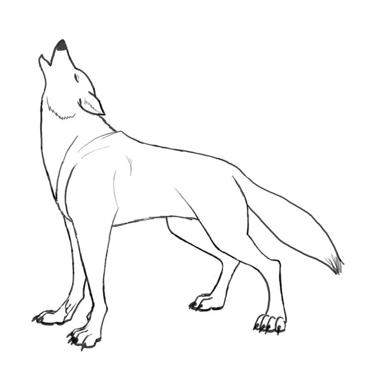 Desenhos de Wolf Para Colorir 55