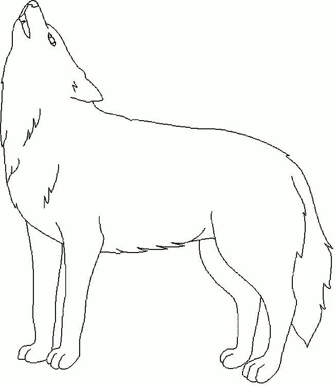 Wolf Coloring Pages 67