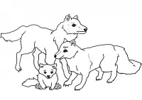 Desenhos de Wolf Para Colorir 82