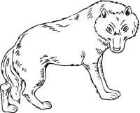 Wolf With Wings Coloring Pages 106