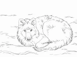 Wolf With Wings Coloring Pages 113