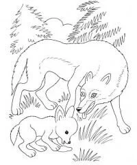 Wolf With Wings Coloring Pages 116