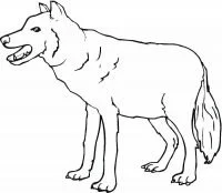 Wolf With Wings Coloring Pages 119