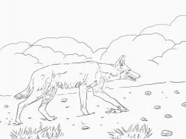 Desenhos de Lobo Com Asas Para Colorir