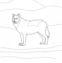 Wolf mit Flügeln Ausmalbilder 58