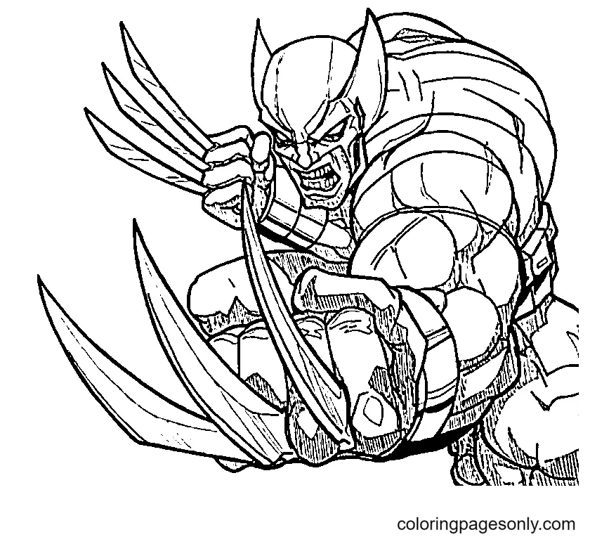 Wolverine Coloring Pages 82