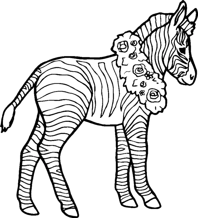 Desenhos de Zebra Para Colorir 15