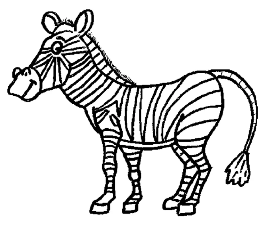 Desenhos de Zebra Para Colorir 18