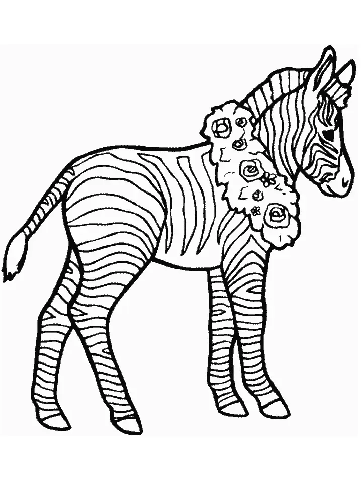 Desenhos de Zebra Para Colorir 21