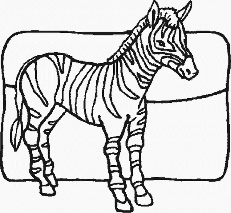 Desenhos de Zebra Para Colorir 28