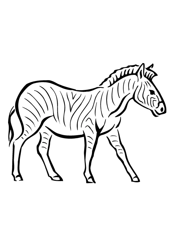 Desenhos de Zebra Para Colorir 29