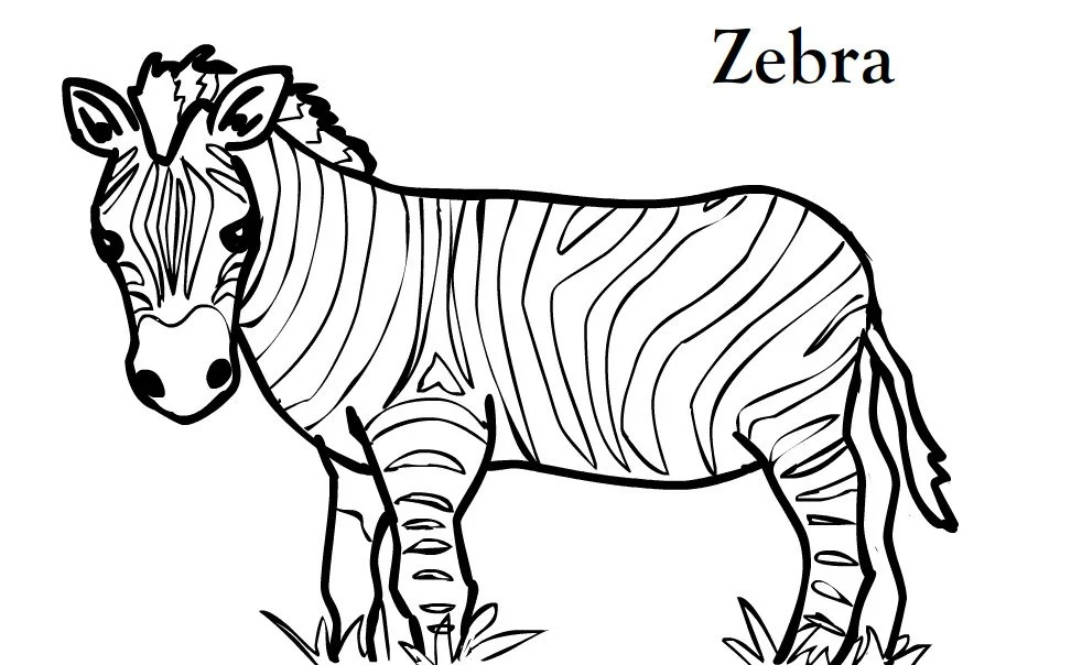 Desenhos de Zebra Para Colorir 3