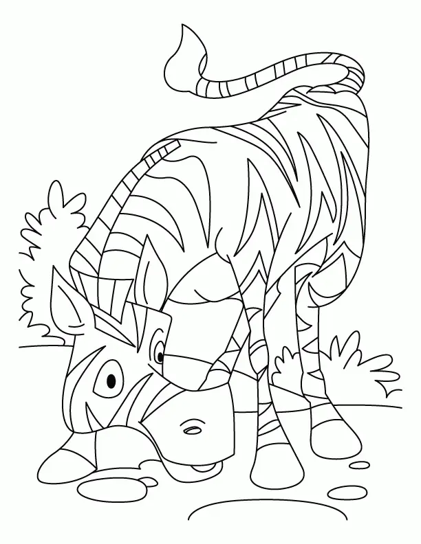 Desenhos de Zebra Para Colorir 5