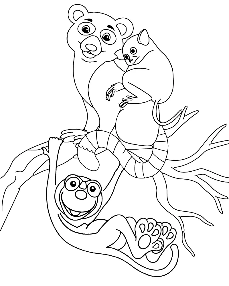 Zoboomafoo Para Colorir 2