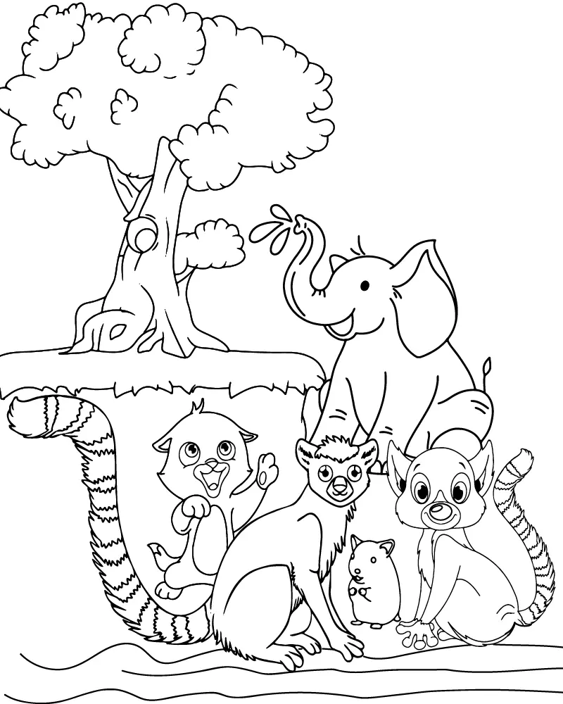 Zoboomafoo Para Colorir 3